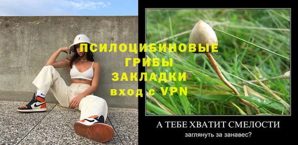 метадон Мегион